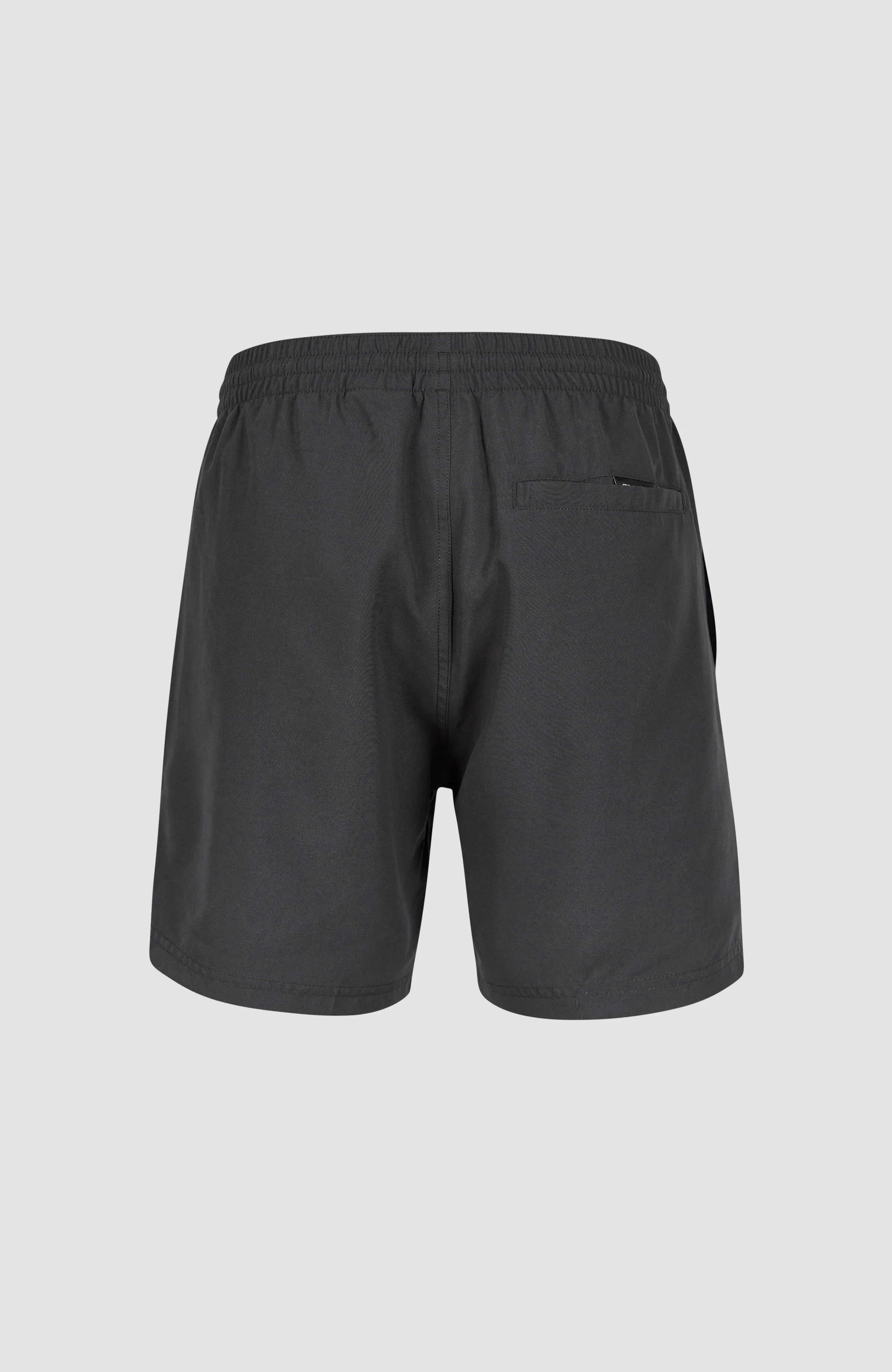 Cali 16'' Swim Shorts | Asphalt - Image 3