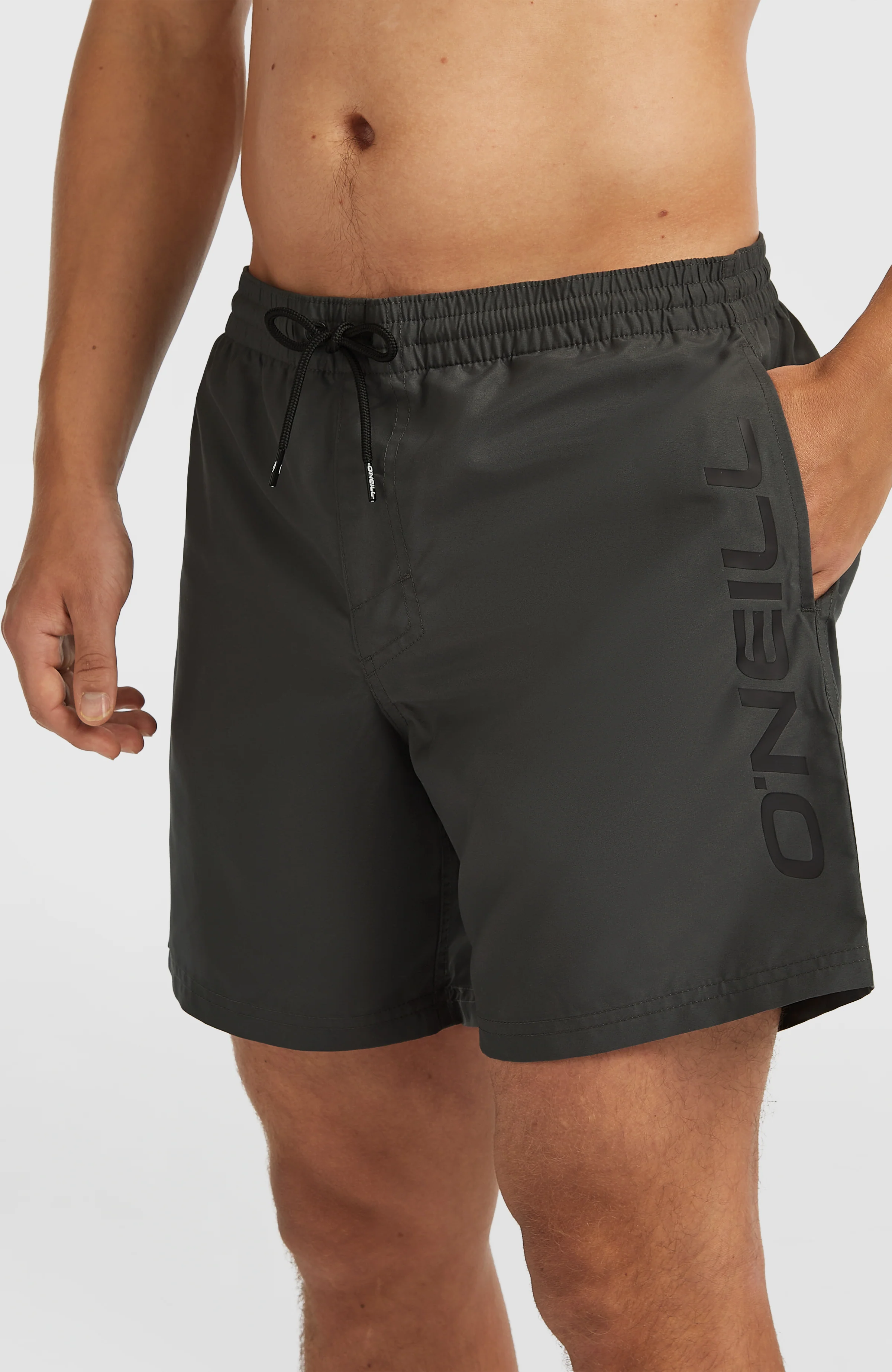 Cali 16'' Swim Shorts | Asphalt - Image 4